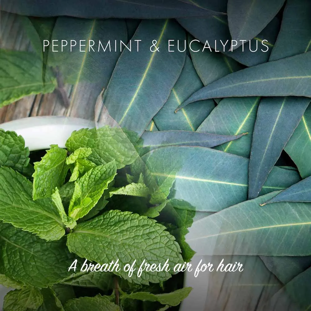 Friendly Soap - Peppermint & Eucalyptus Conditioner Bar
