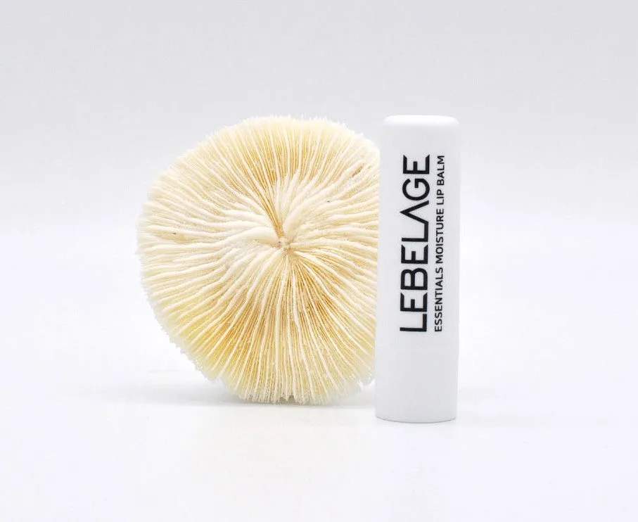 Lebelage Essential Moisture Lip Balm Highly Moisturizing Dry Honey Propolis Royal Jelly